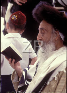 3941-1 Rabbi