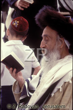 3941-1 Rabbi