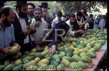 3966-3 Succot preparations