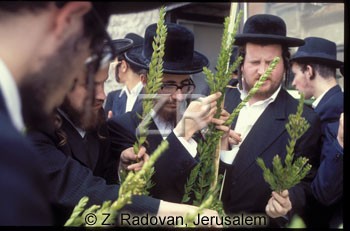 3966-6 Succot preparations