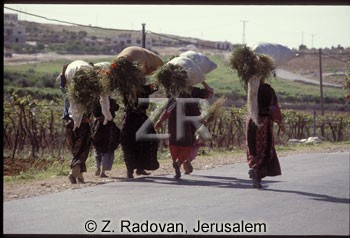 4024-1 Village life