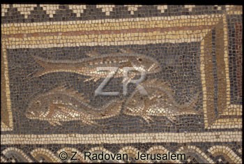 4048-10 Sepphoris