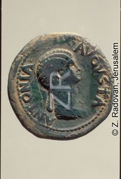 4173-2 Antonia Augusta