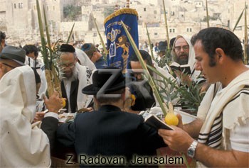 425-37 Sukkot