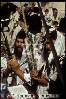 425-5 Succot Prayer
