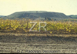 430-7 Tel Lachish