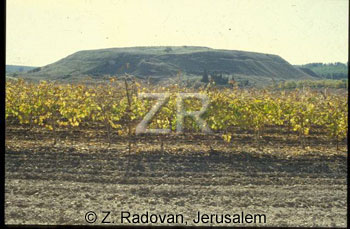 430-7 Tel Lachish