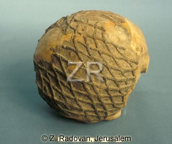 4381-1 Nahal Heimar skull