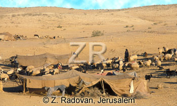 4414-2 Beduin tents