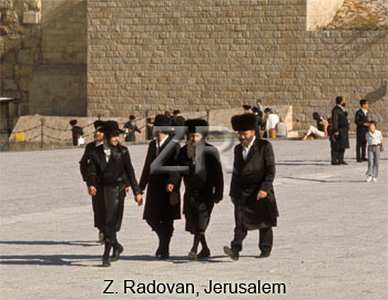 4449-6 Ultra orthodox Jews