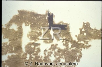 447 Masada