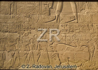 4552-8 Luxor temple