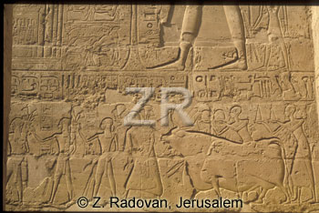 4552-8 Luxor temple