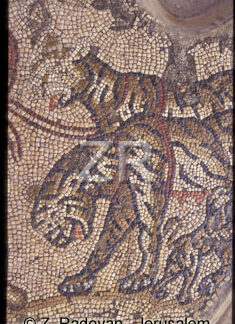 4657-2 Erez mozaic