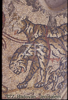 4657-2 Erez mozaic