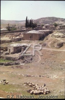 4976-10 Carmel in Judea