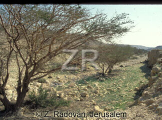 5111-4 Northern Negev