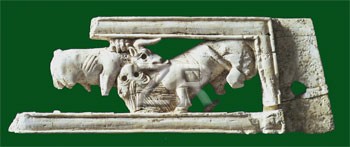 5162 Samaria ivory