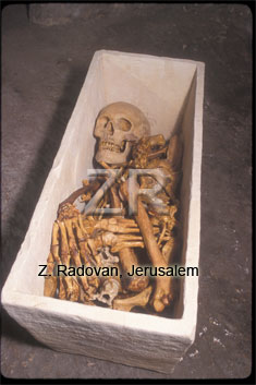 5177-1-.-Ossuary with human