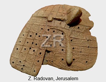 5238 Divination liver