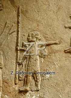 5249 Assyrian building work