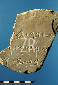 5465 City of David inscription