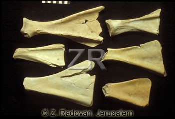 581-3 Bone tools