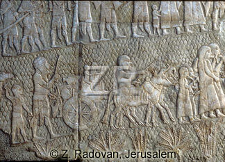 697-3 Lachish Captives