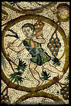 850-2 Gathering grapes