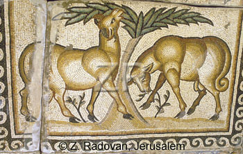 860 Kisufim mosaic