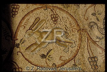 863-17 Nirim synagogue