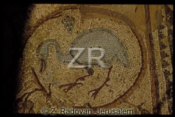 863-7 Nirim synagogue