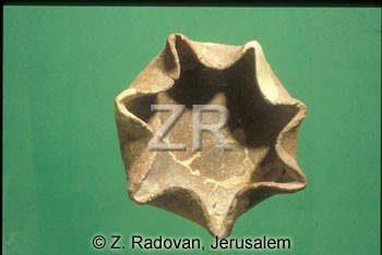 898-2 Seven sprouted lamp