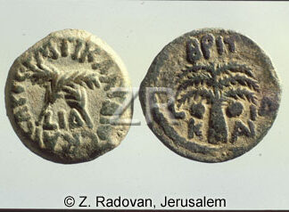 984-1 Antonius Felix coins