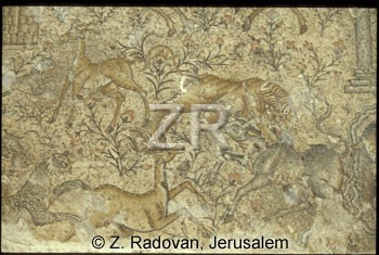 992-1 Sepphoris
