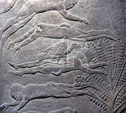 2409–Assyrian army, death