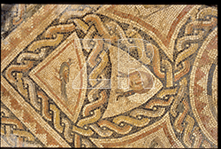 5060–Ein Yael mozaic
