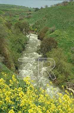 1538-River Jordan