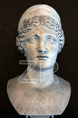 6539. Marble bust of Hera