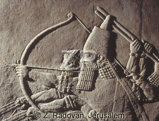 1013-2 King Ashurbanipal