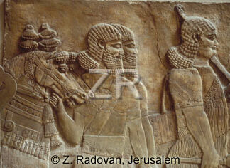 1022-10 Assyrian army