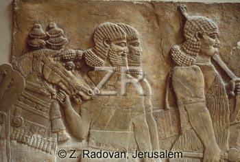 1022-10 Assyrian army