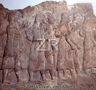 1031 Assyrian captives