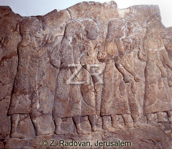 1031 Assyrian captives