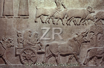 1031 Assyrian conquests