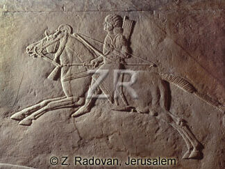 1049.-Assyrian cavalry