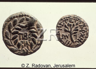 117-1 Herod Antipas coins