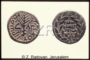 117-2 Herod Antipas coins