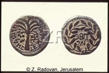 117-3 Herod Antipas coins