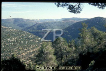 1255-3 Judean hills